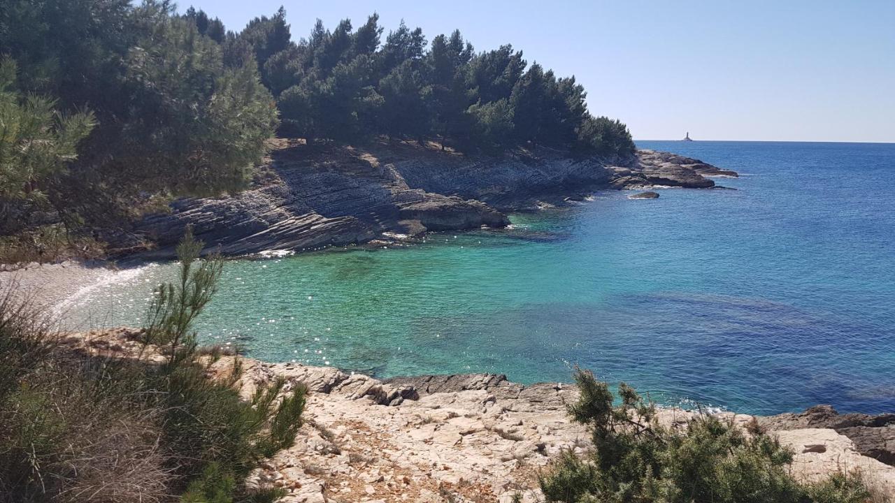 Apartman Luka Banjole Dış mekan fotoğraf